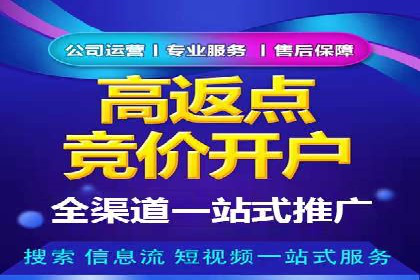 搜索引擎营销（SEM）服务案例分享